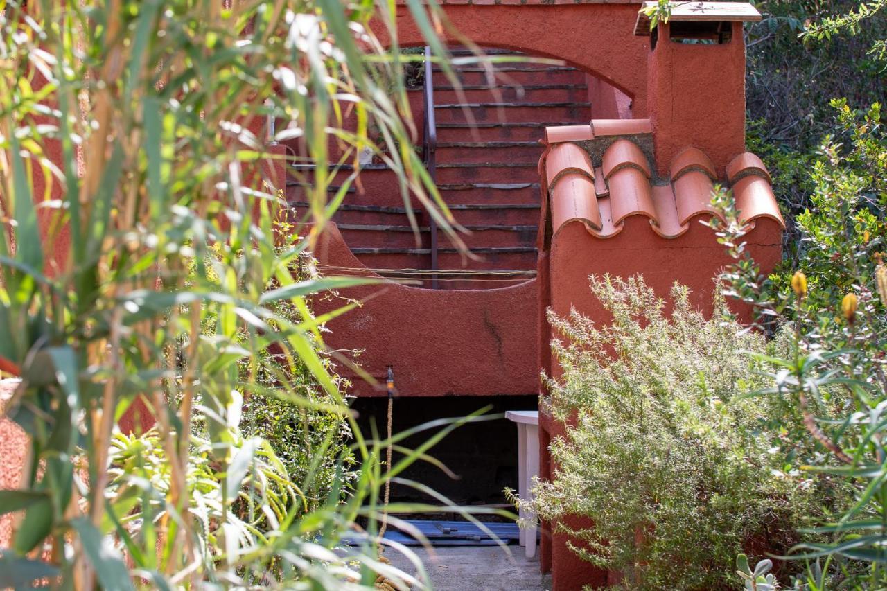 Villa Bougainvilliers Banyuls-sur-Mer Esterno foto