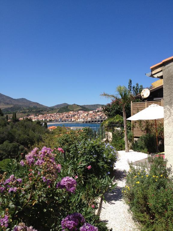 Villa Bougainvilliers Banyuls-sur-Mer Camera foto